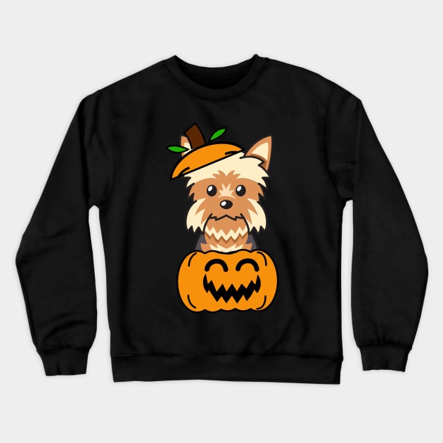 Funny yorkshire terrier is in a pumpkin Crewneck Sweatshirt by Pet Station